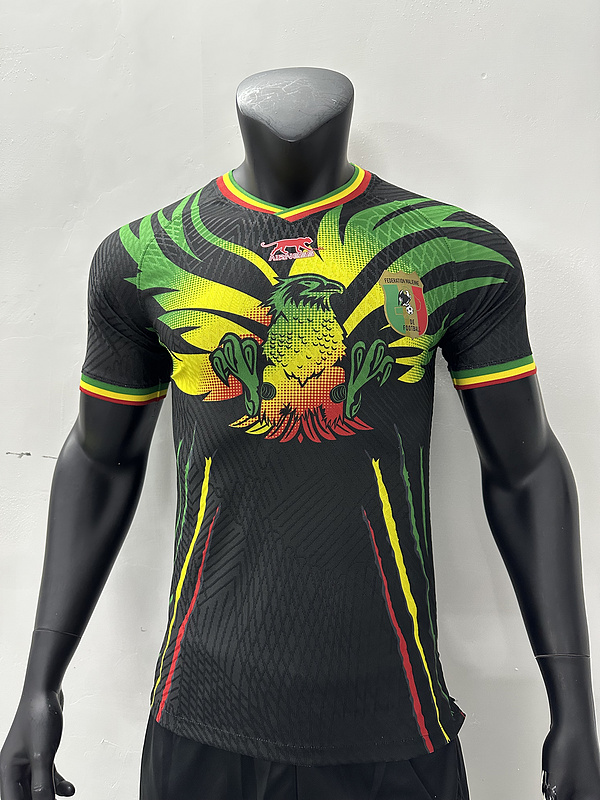 AAA Quality Mali 2023 Africa Cup Third Black Jersey(Player)